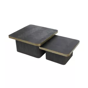 Salontafel Black Bonito - Candan Goud